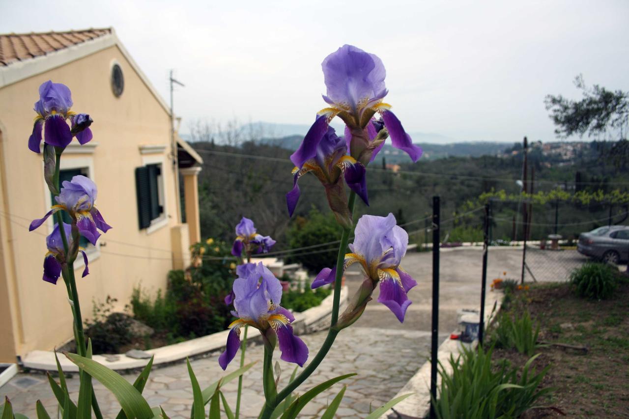 Georgia Apartments & Studios Corfu Glyfada  Exterior photo